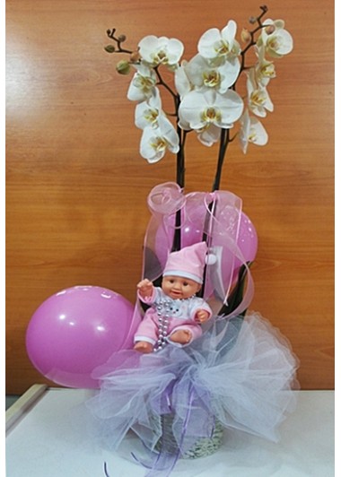 Bebek 15